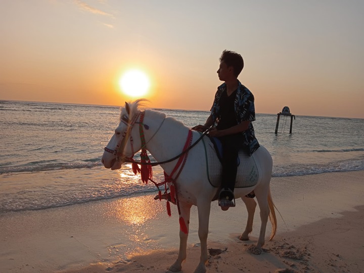 galeri klien - in lombok trans