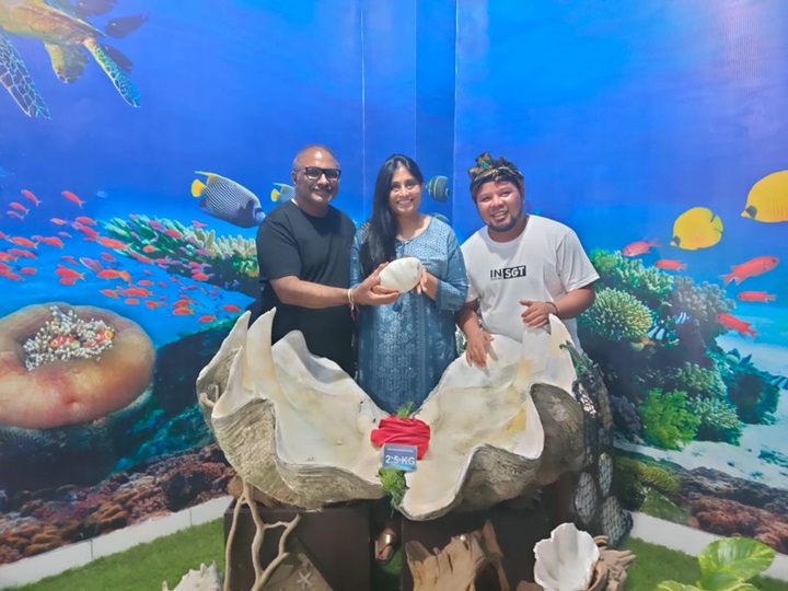 galeri klien - in lombok trans